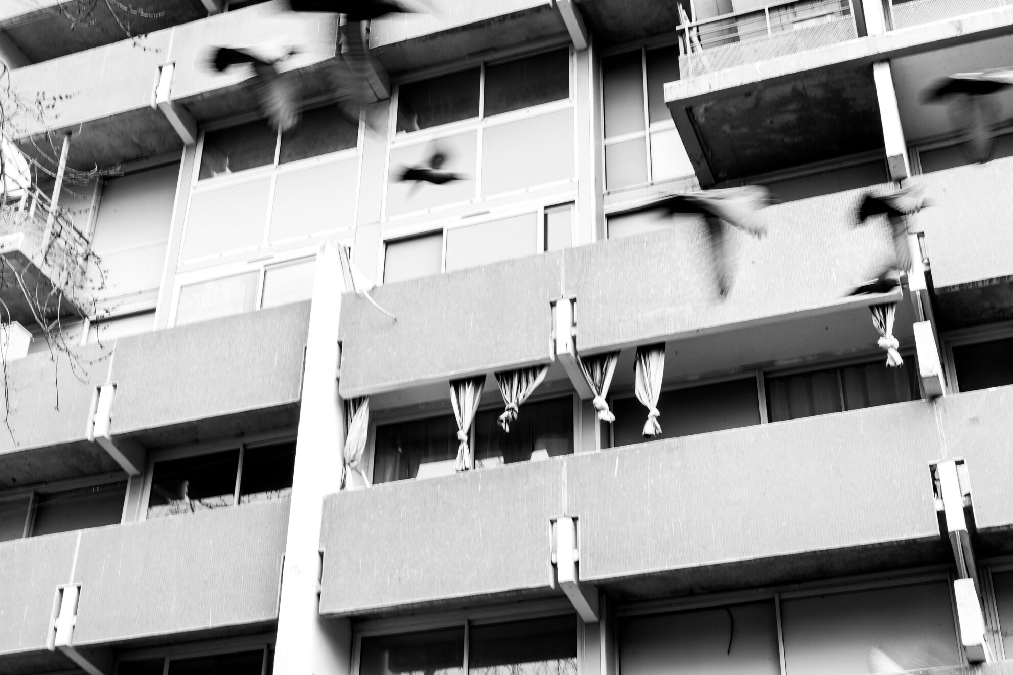 Toulouse le Mirail entre démolition et reconstruction, Jacme Gaudas #6